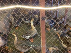 -鱼窝棚柴火铁锅炖(富山屯店)