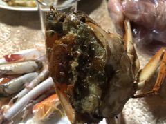 -莲花公园煎蟹(总店)
