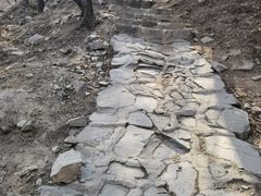 -北京鹫峰国家森林公园