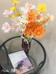 点击看大图 -SILKTONE诗丽堂美容