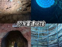 -中国西峡恐龙遗迹园