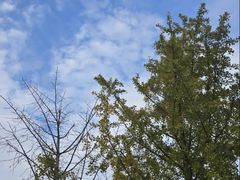 -长沙滨江文化园