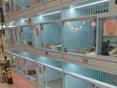 -FAELING PETS美天灵宠物(合生汇店)