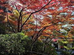 -三千院