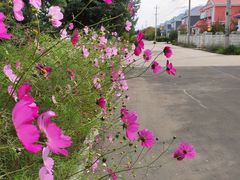 -额尔古纳风情源非遗俄餐