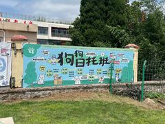 -趣玩宠物乐园寄养训犬训狗游泳池