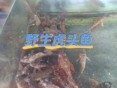 -南麂列岛