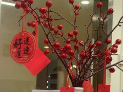 -小象国照相馆(宝山万达店)
