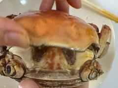 -白沙洲农产品大市场-海鲜交易区