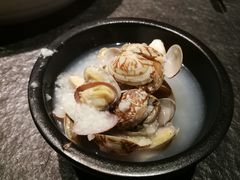 红岛花蛤-龙门养心粥火锅(祥恒广场店)
