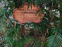 -龙达温泉生态城