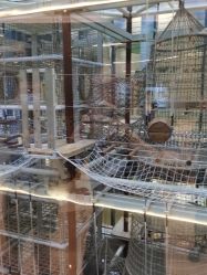 -PIPIKINGDOM皮皮王国欢乐号(欢乐海岸购物中心店)