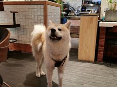 -BOCATA 西班牙餐厅(三里屯店)