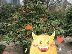 -南山植物园