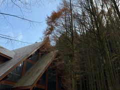 -山王坪喀斯特国家生态公园