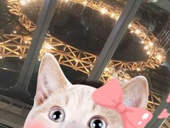 -影汇之星8字形摩天轮