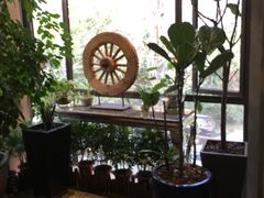 -宝翠花园餐厅(沙湖店)