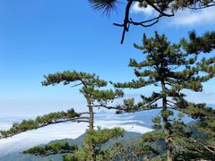 -罗田薄刀峰风景区