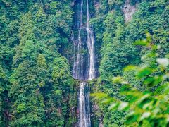 -瓦屋山景区