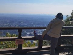 -杭州半山国家森林公园