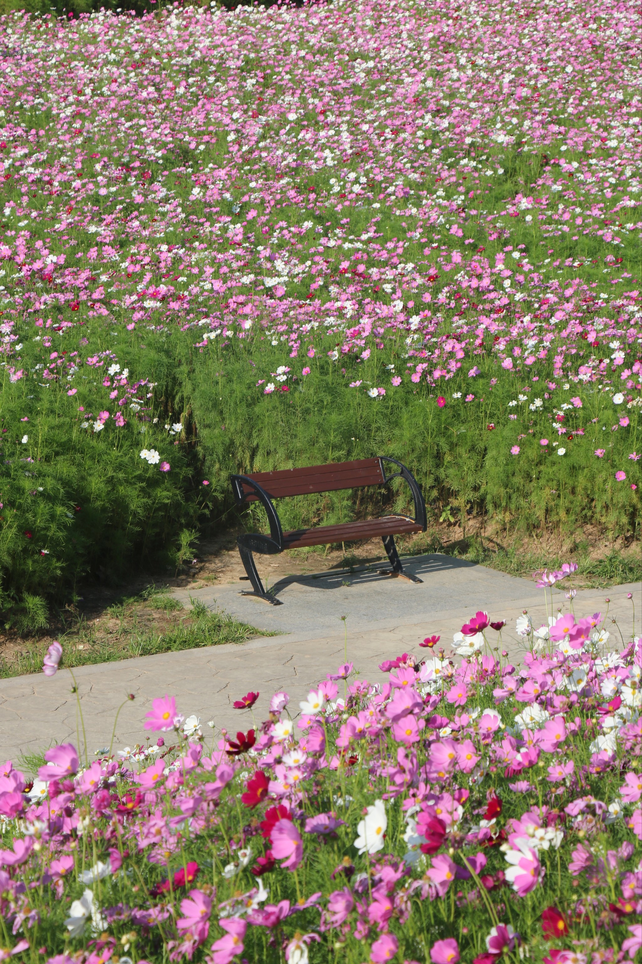 福州花海公园