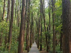 -同里国家湿地公园