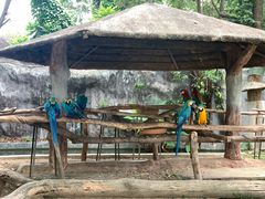 -清迈夜间动物园