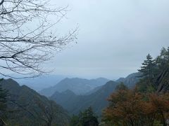 -新紫霞养生·影院足道·SPA(金山区店)