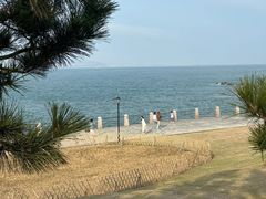 -海合安青岛极地海洋公园