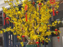 -吴记富苑(朝阳店)