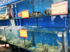 水产区-蚝专家(北滘店)