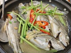 -日日香卤鹅饭店·澄海狮头鹅(澄海店)