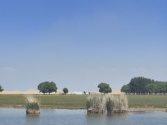 -亿利库布其七星湖沙漠生态旅游区