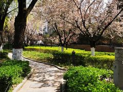 -木塔寺遗址生态公园