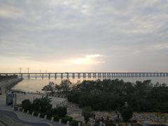 景点-宝安西湾红树林湿地公园