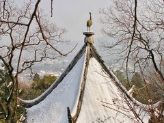 -香雪海