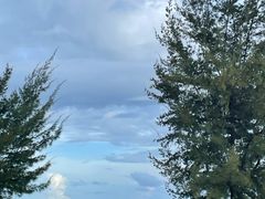 -花海间·即刻露营