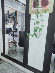 -铭廊韩式美容美发