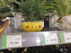 -AEON永旺(东方宝泰店)