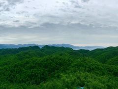 -沐川竹海旅游景区