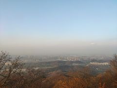 -紫金山山顶公园