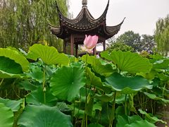 -北京园博大酒店