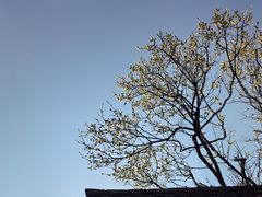 -宁波市保国寺古建筑博物馆