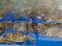-阳澄湖大闸蟹·琼灵阁牌品牌连锁(吴中总店)
