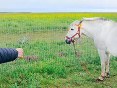 景点-青海湖国家重点风景名胜区