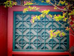 -元大都城垣遗址公园