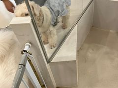 -共舞时光猫咖·狗咖(新街口店)