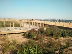 -东疆建设开发纪念公园