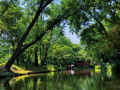 -西溪国家湿地公园