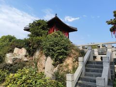 -徐州龟山景区